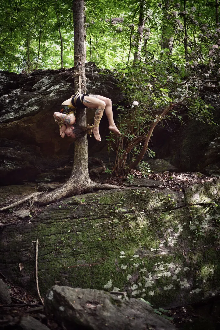 Forest Dwellers - Image 2