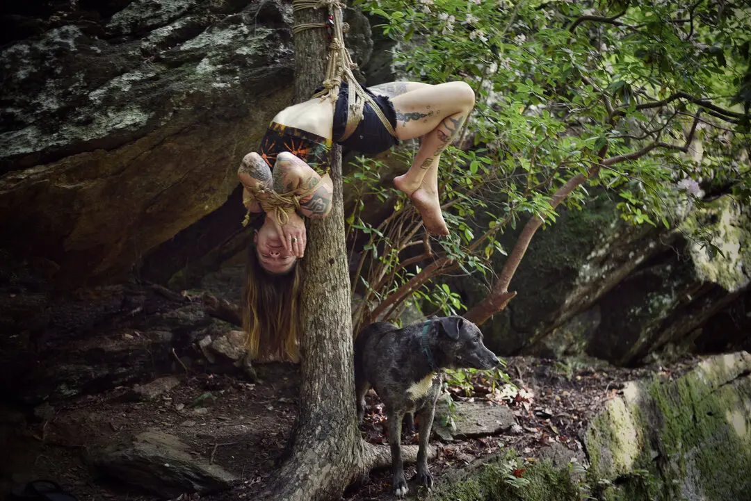 Forest Dwellers - Image 3