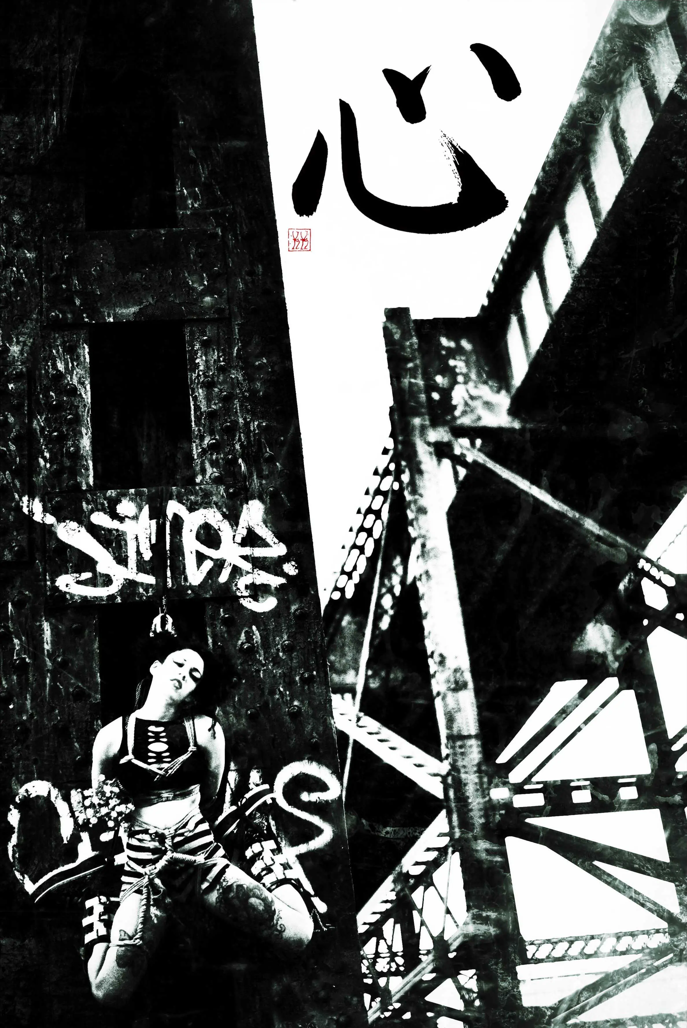 Shibari Artwork - Calming of a Storm