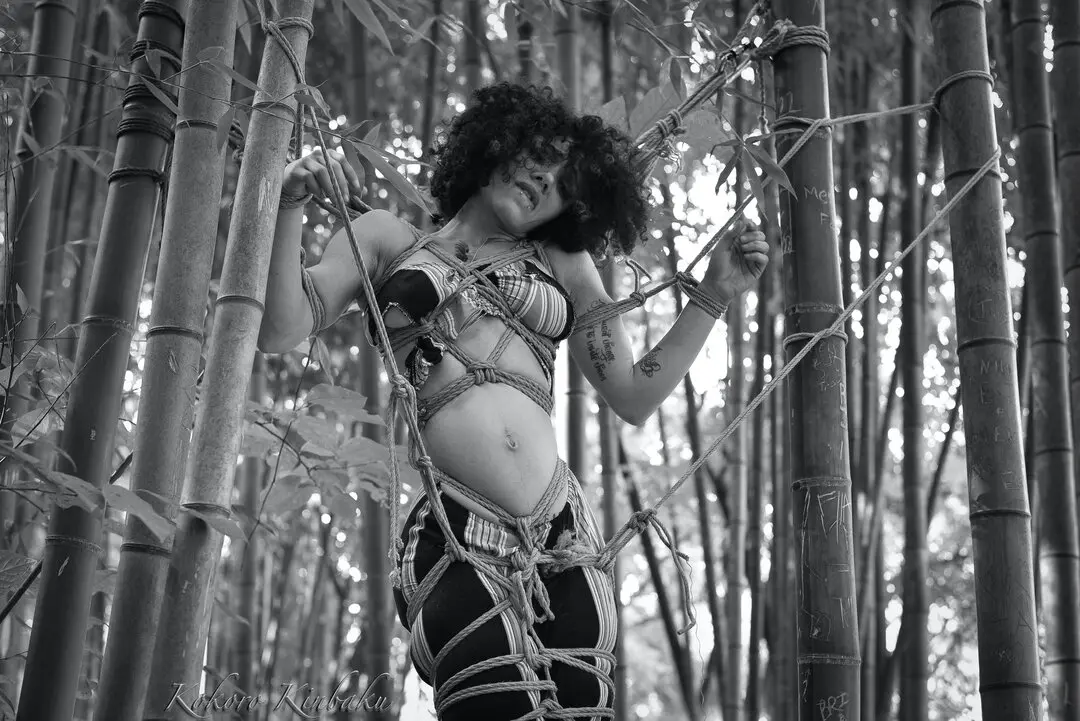 Capture of Onryo - Image 2